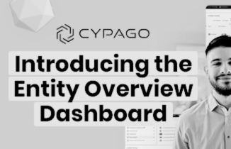 Managing Multiple Business Units? Introducing our Entity Overview Dashboard